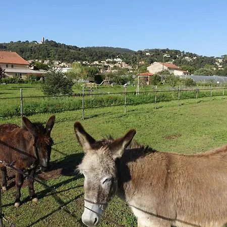 Du Pagoulin - Holiday home