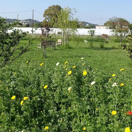 Du Pagoulin - Hyeres