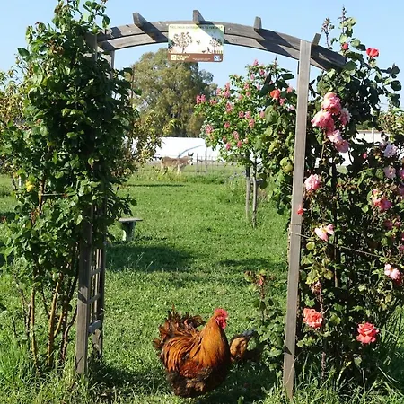 別荘 Du Pagoulin - イエール