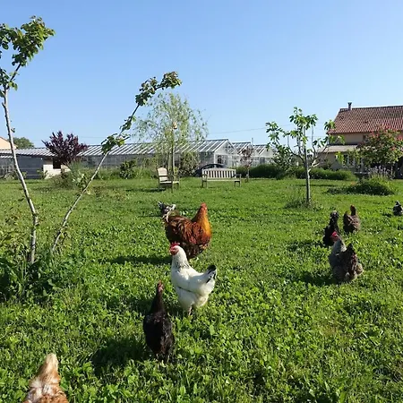 別荘 Du Pagoulin - *